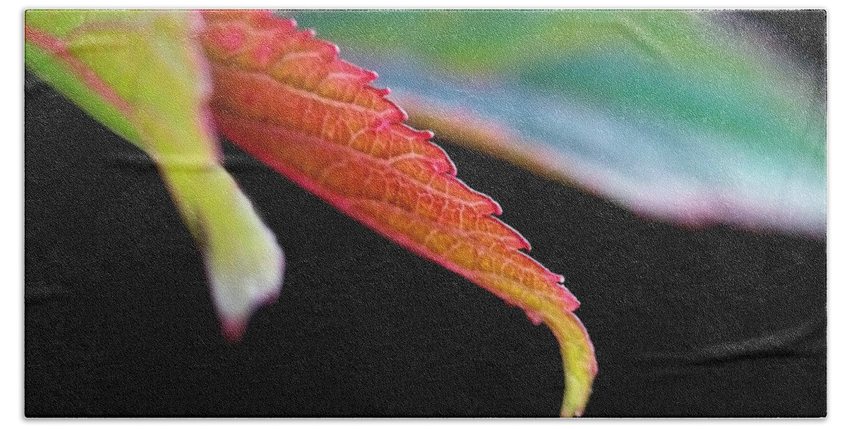 Macro Beach Sheet featuring the photograph Leaf Study IV #1 by Lauren Radke