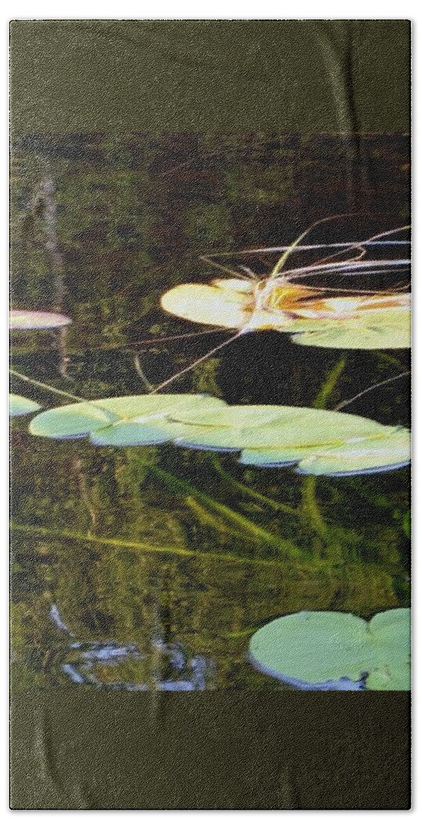 Lily Pads Beach Sheet featuring the photograph Lily Pads on the Lake by Mary Wolf