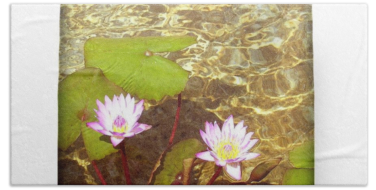 Lotus Beach Towel featuring the photograph Lotus #1 by Mini Arora