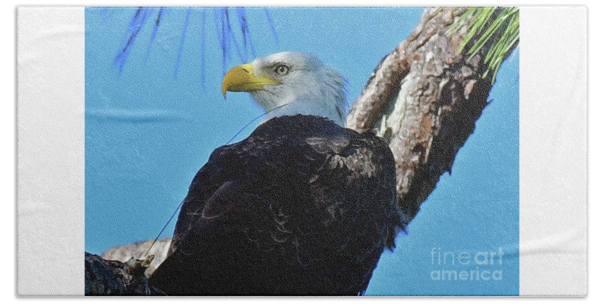  Beach Towel featuring the photograph M15 #2 by Liz Grindstaff