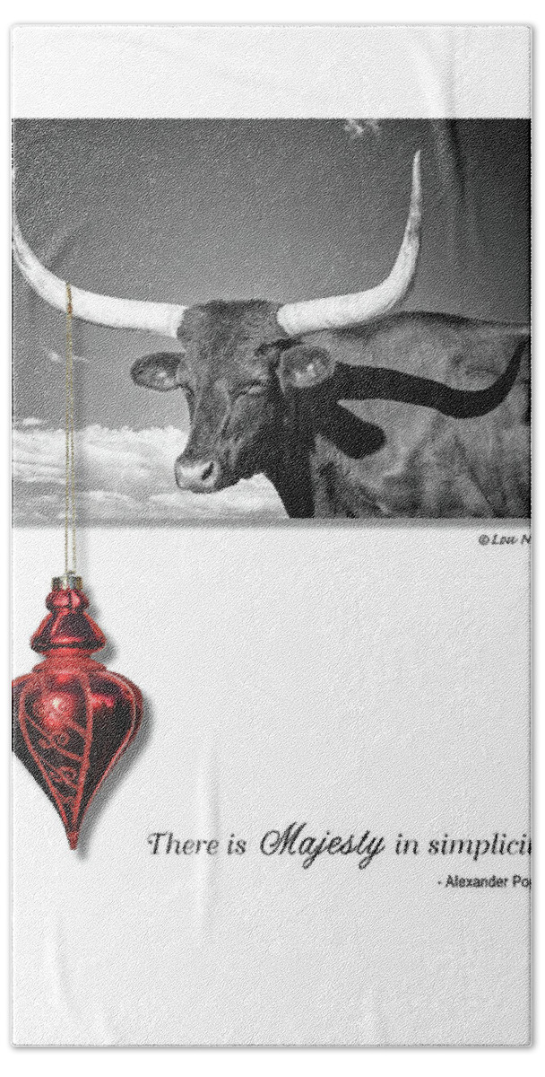Longhorn Steer Beach Towel featuring the photograph Majesty in simplicity #1 by Lou Novick