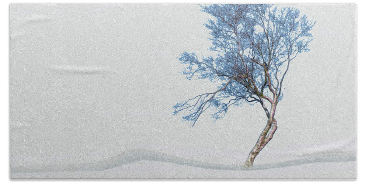 Mindfulness Beach Towel featuring the photograph Mindfulness Tree #2 by LemonArt Photography