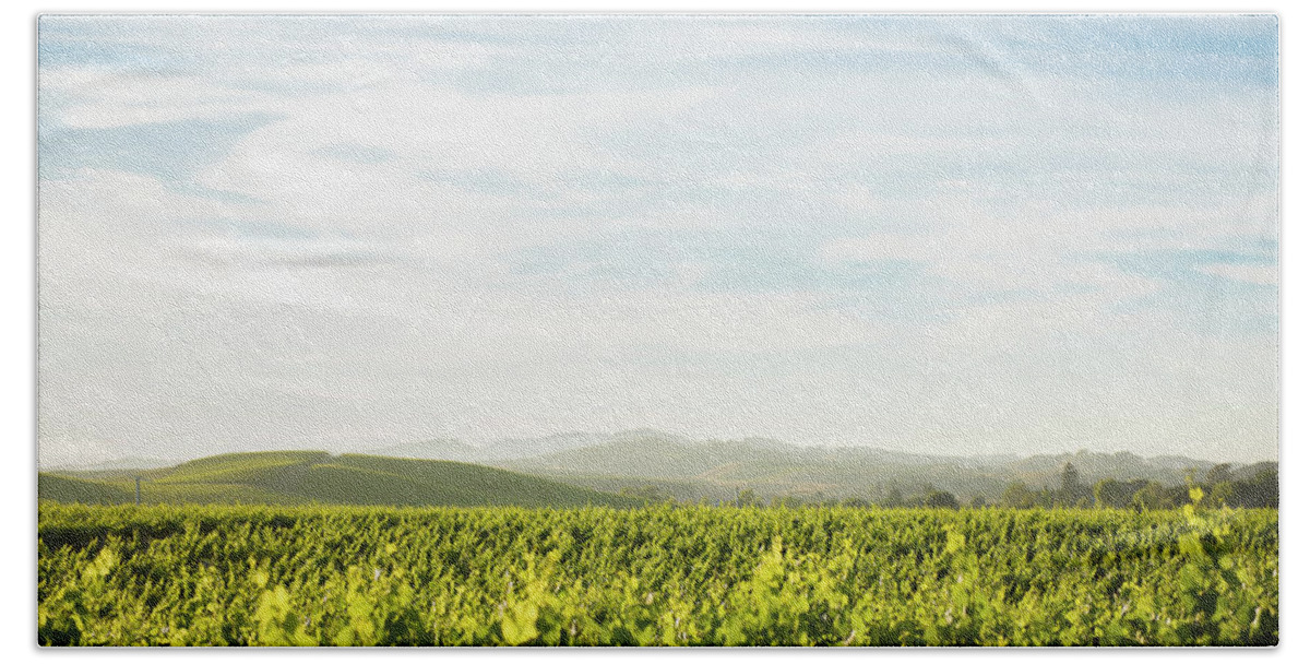 Napa Valley Beach Towel featuring the photograph Napa Valley Vineyards #2 by Aileen Savage