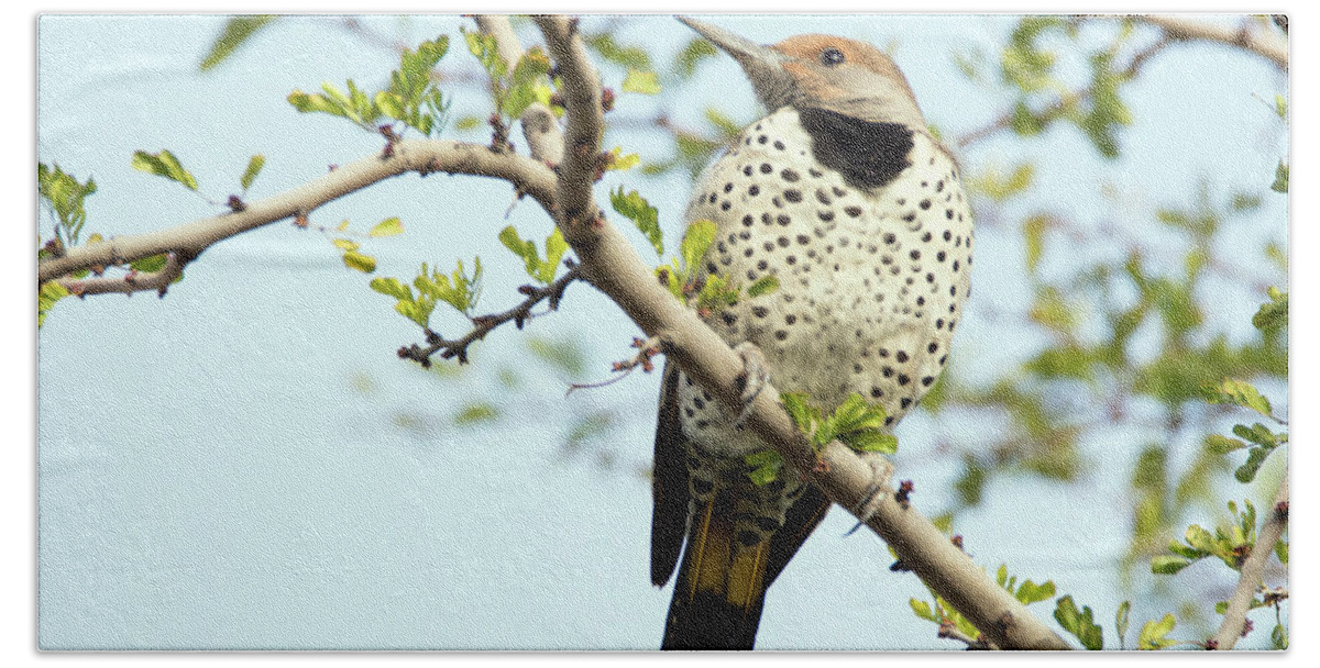 Gilded Beach Towel featuring the photograph Gilded Flicker #3 by Tam Ryan