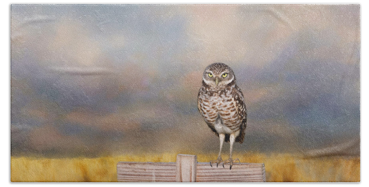 Owl Beach Towel featuring the photograph On The Fence #2 by Kim Hojnacki