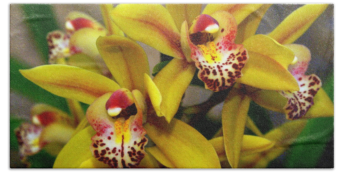 Flower Beach Sheet featuring the photograph Orchid 9 #1 by Marty Koch
