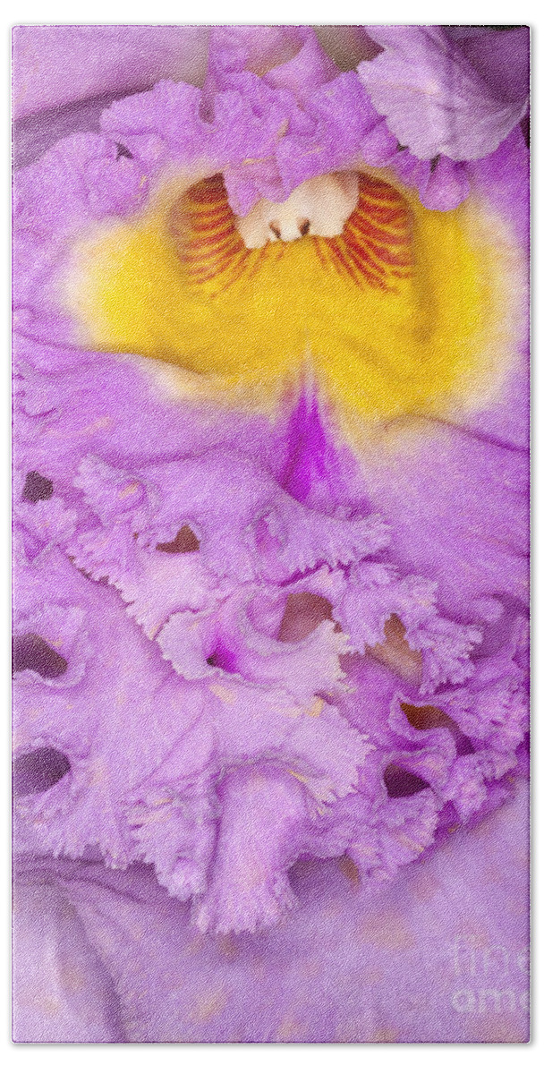 Orchid Beach Towel featuring the photograph Orchid closeup #1 by Anthony Totah
