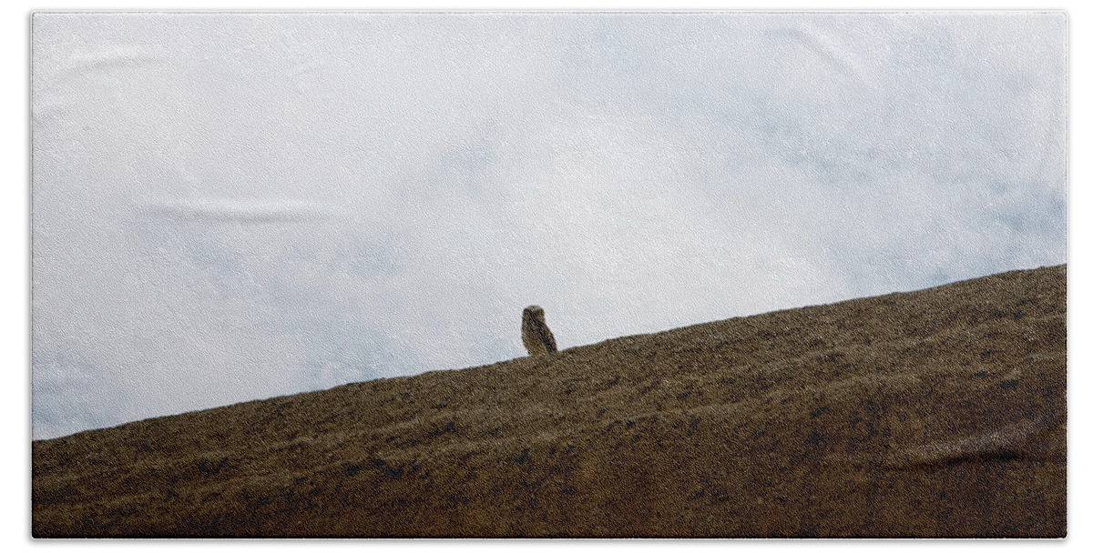 Animals Beach Towel featuring the digital art Owl at the Emerald Temple in Trujilla Peru #1 by Carol Ailles