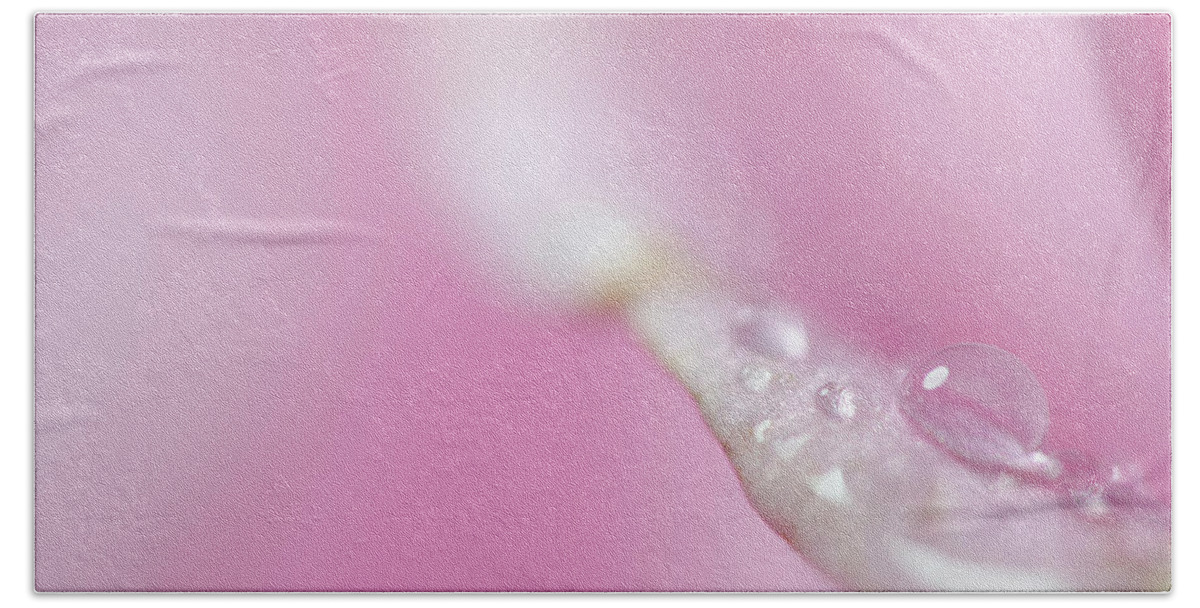 Pink Beach Sheet featuring the photograph Patiently Waiting #1 by Sandra Parlow