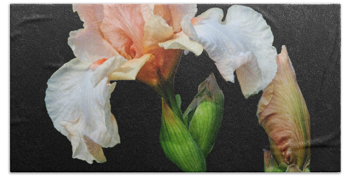 Iris Beach Towel featuring the photograph Peachy #1 by Dave Mills