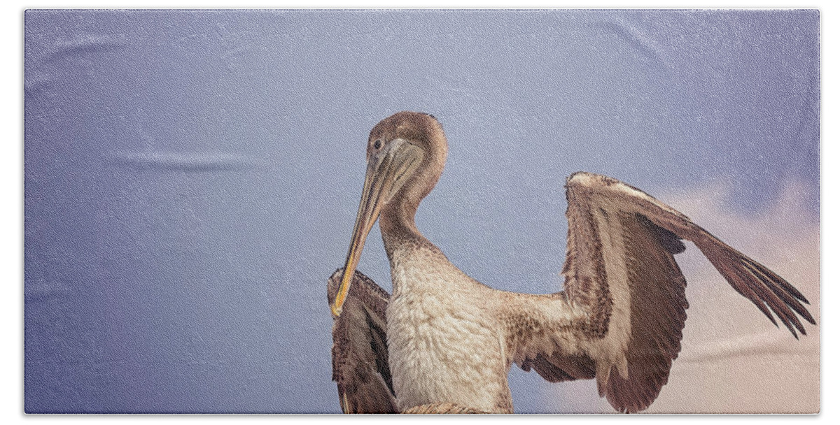Aqua Beach Towel featuring the photograph Pelican #1 by Peter Lakomy