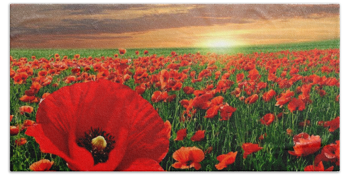 Poppy Beach Towel featuring the photograph Poppy #1 by Jackie Russo