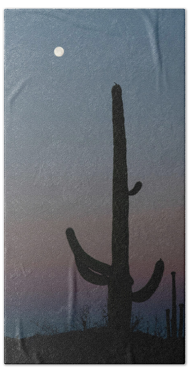 Arizona Beach Towel featuring the photograph Saguaro Moon Organ Pipe Cactus National Monument Arizona #1 by Lawrence S Richardson Jr