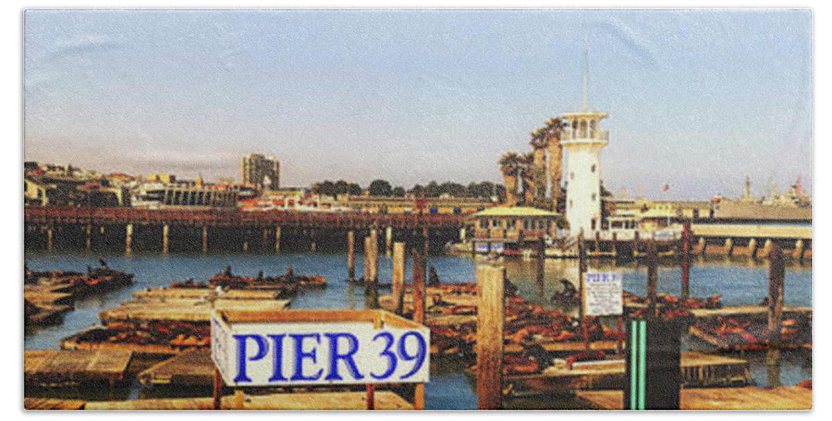 San Francisco Beach Towel featuring the photograph Sea Lions On Pier 39 #1 by Mountain Dreams