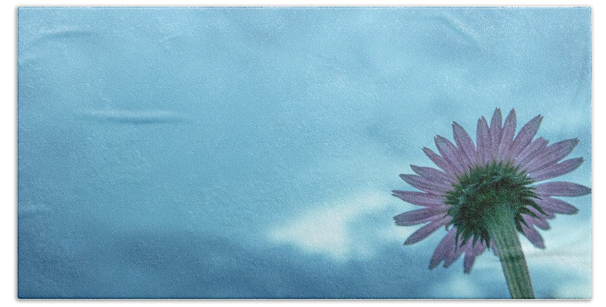 Flower Beach Sheet featuring the photograph Single Garden Flower #1 by Henri Irizarri