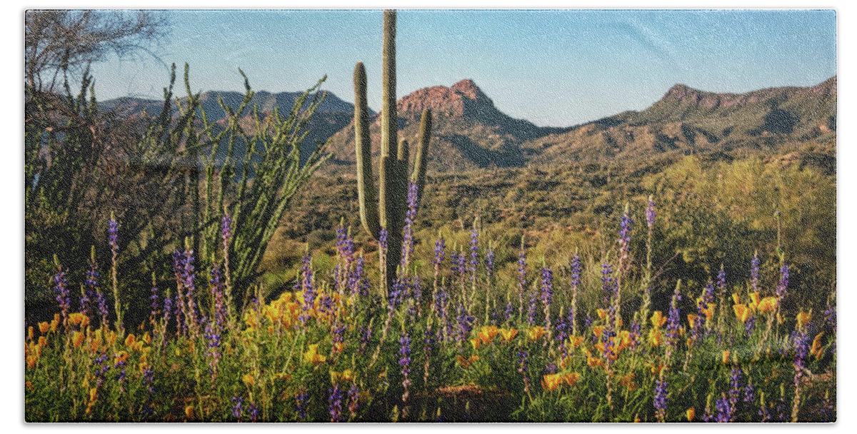 Poppies Beach Towel featuring the photograph Spring in the Sonoran #2 by Saija Lehtonen
