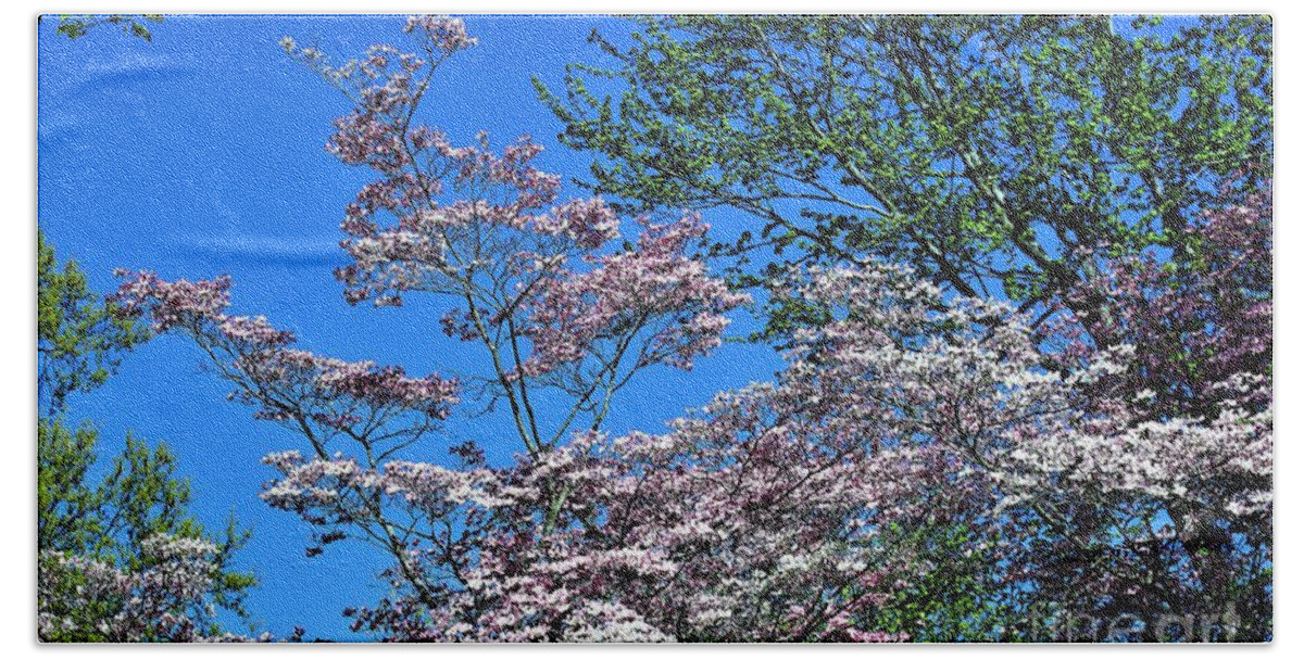 Flowers Beach Towel featuring the photograph Springtime in Louisville by Merle Grenz