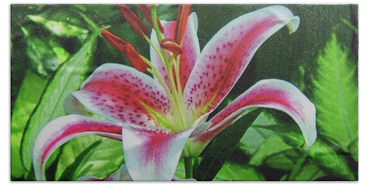 Flowers Beach Towel featuring the photograph Stargazer Lily 001 #1 by George Bostian