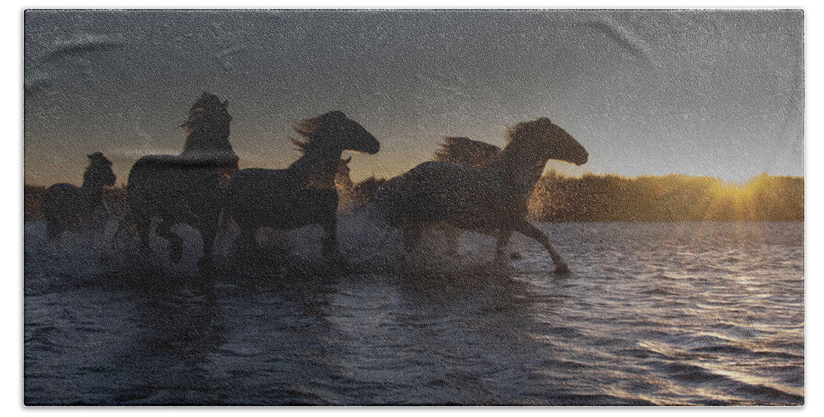 Horses Beach Sheet featuring the photograph Sundown #1 by Wade Aiken