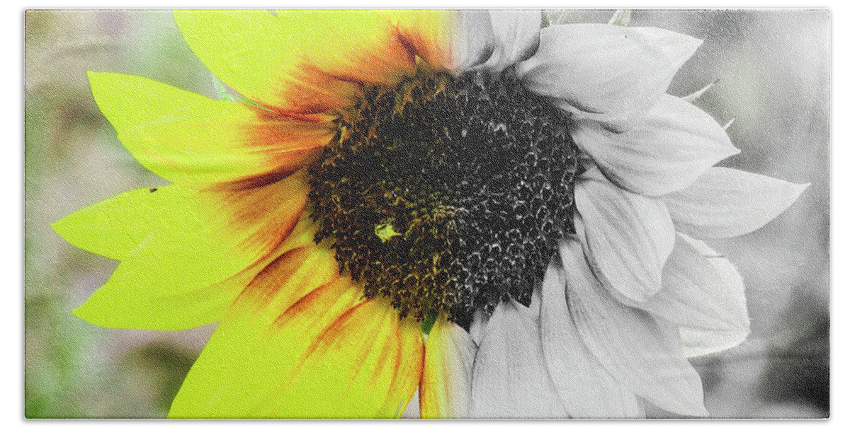 Flower Beach Towel featuring the photograph Sunflower #1 by Cesar Vieira
