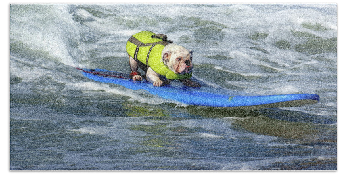 Dog Beach Towel featuring the photograph Surfing Dog #2 by Thanh Thuy Nguyen