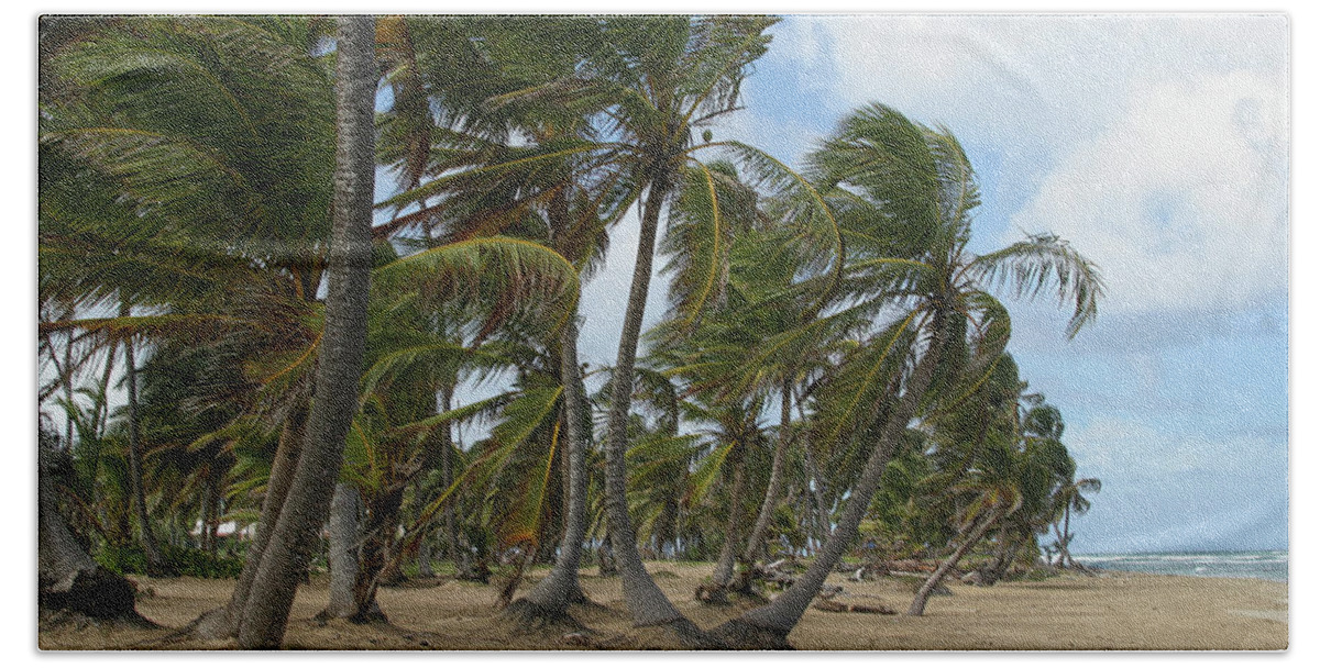 Island Beach Towel featuring the photograph Sway by Robert Och
