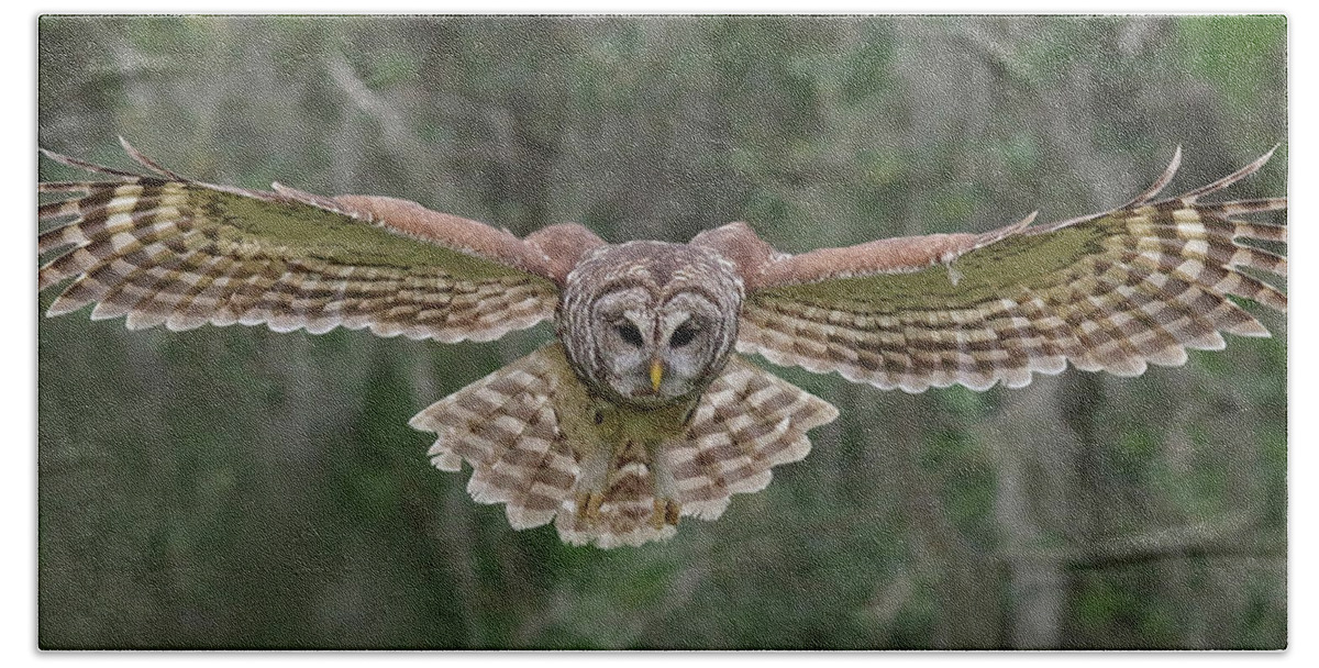 Barred Owl Beach Sheet featuring the photograph The Approach. #1 by Evelyn Garcia