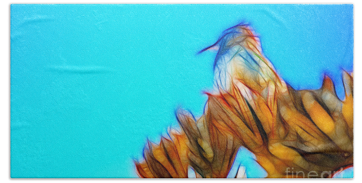 Fine Art Beach Sheet featuring the photograph The Cactus Wren #1 by Donna Greene