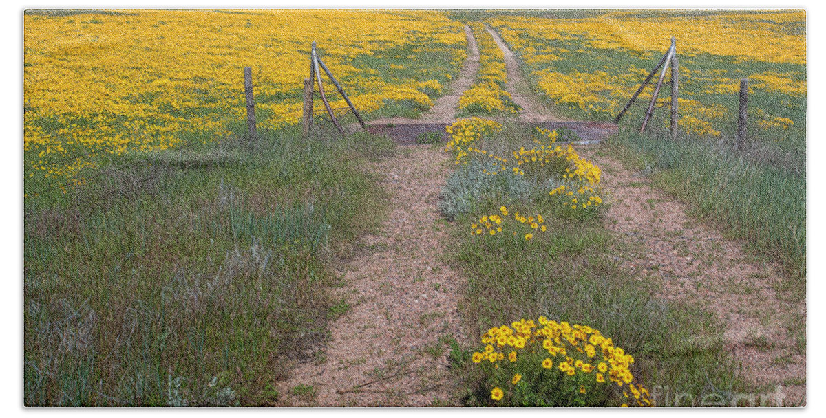 Yellow Wildflowers Beach Towel featuring the photograph The Golden Gate by Jim Garrison
