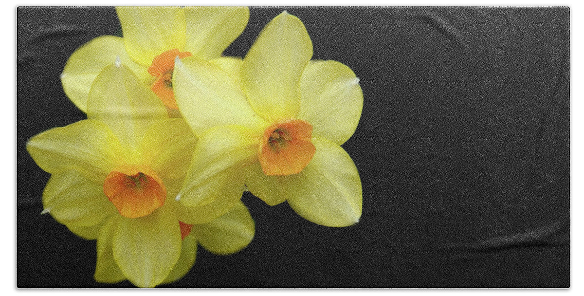 Yellow Beach Towel featuring the photograph Three #1 by Cathy Kovarik