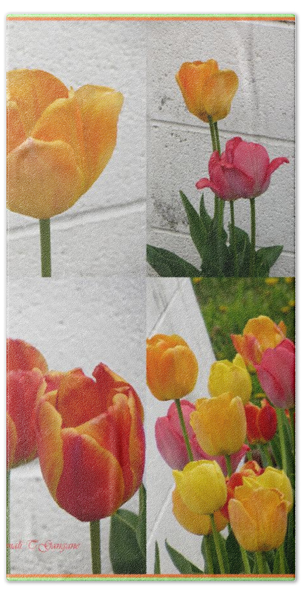 Tulip Time Beach Towel featuring the photograph Tulip Time #1 by Sonali Gangane