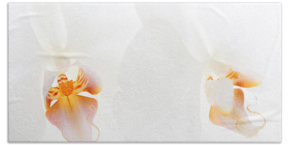 White Orchid Beach Towel featuring the photograph White Orchids #1 by Ann Garrett
