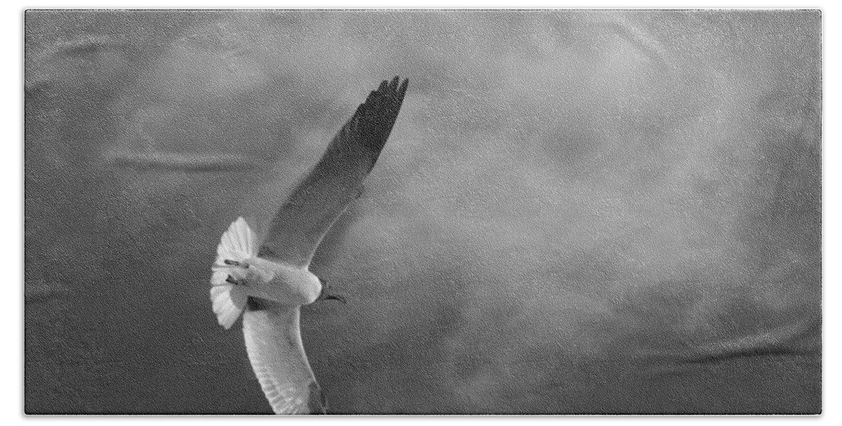 Seagull Beach Towel featuring the photograph Wings #2 by Don Spenner
