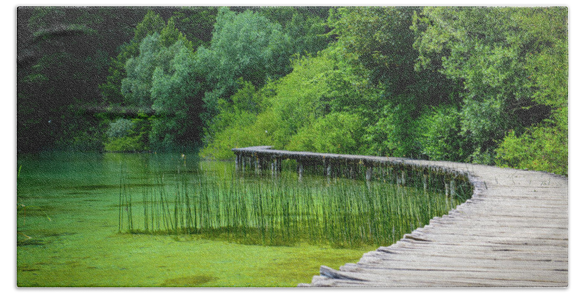 Green Beach Sheet featuring the photograph Wooden Path in the Forest #1 by Brandon Bourdages