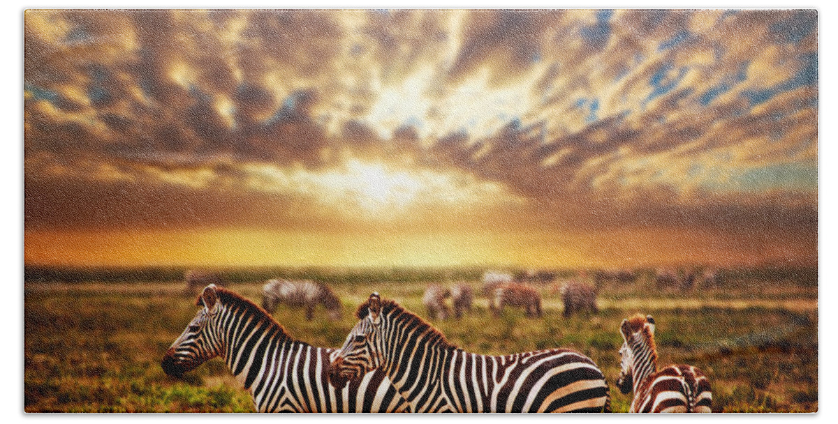 Africa Beach Towel featuring the photograph Zebras herd on African savanna at sunset. #1 by Michal Bednarek
