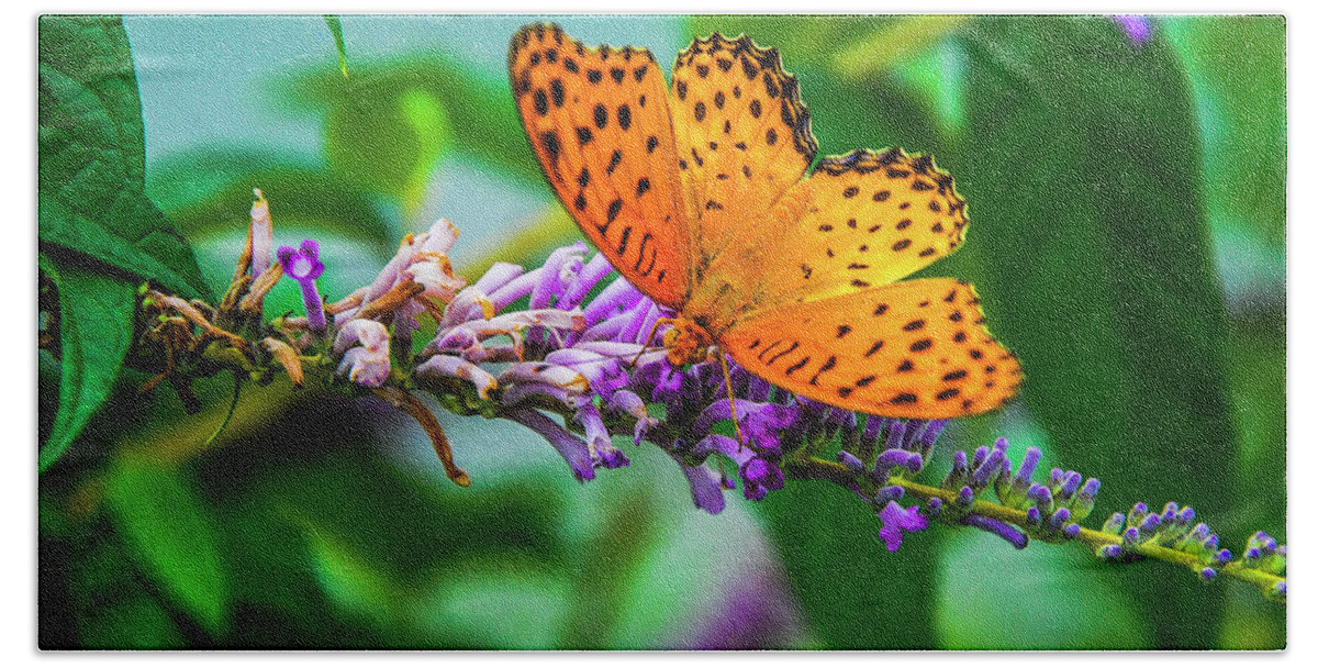 Spring Beach Towel featuring the photograph Butterfly and flower closeup #10 by Carl Ning