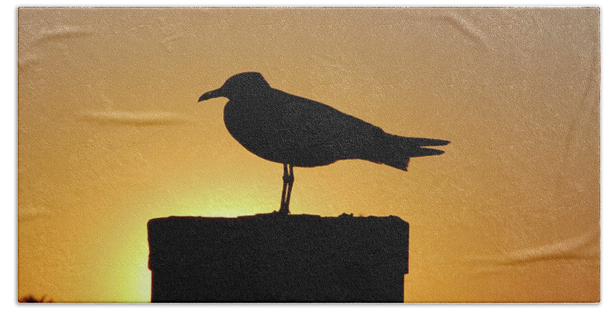 Seagull Beach Towel featuring the photograph 10- Solitaire by Joseph Keane