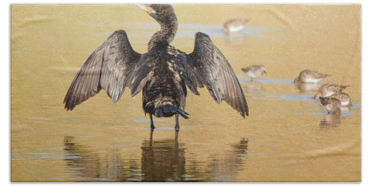 Neotropic Beach Towel featuring the photograph Neotropic Cormorant #14 by Tam Ryan