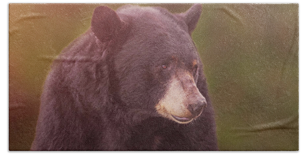 Animal Beach Towel featuring the photograph Black Bear #15 by Brian Cross