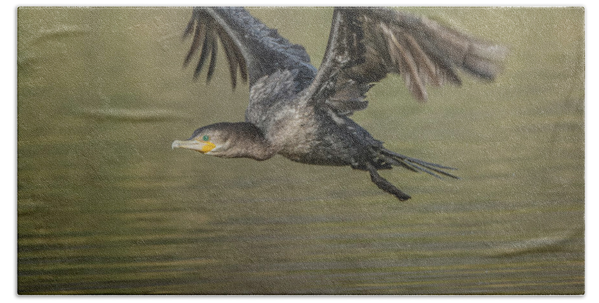 Neotropic Beach Towel featuring the photograph Neotropic Cormorant #15 by Tam Ryan