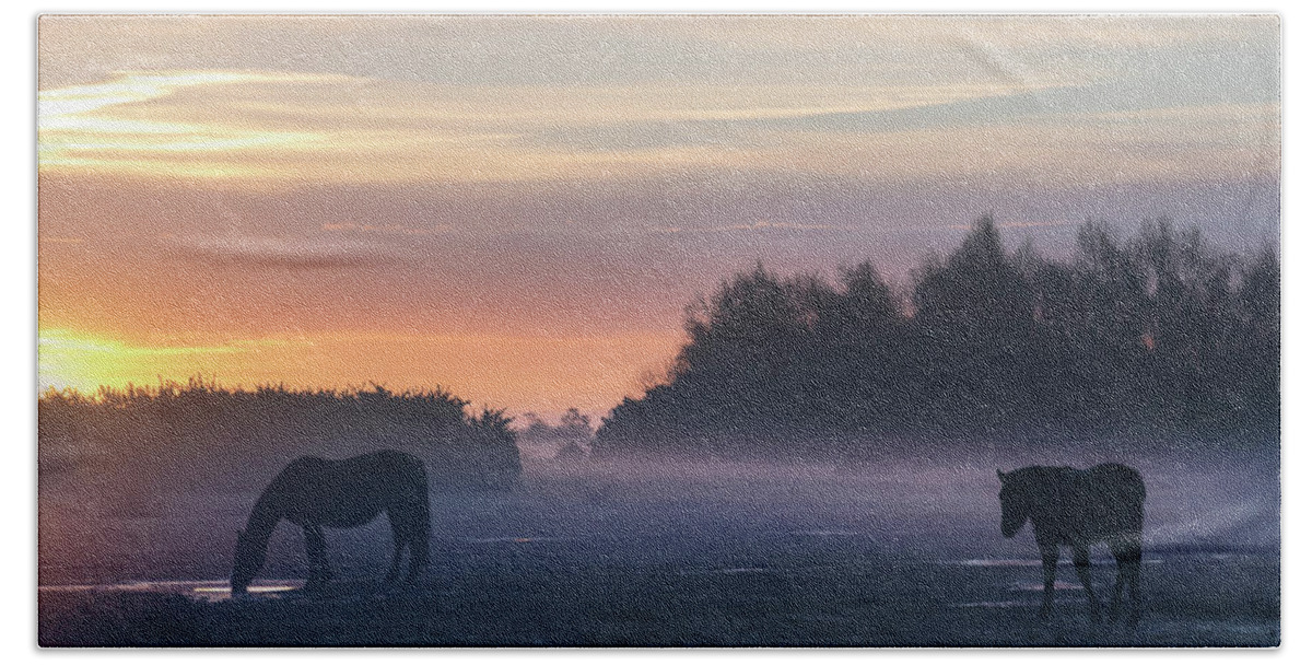 Pony Beach Towel featuring the photograph New Forest - England #189 by Joana Kruse