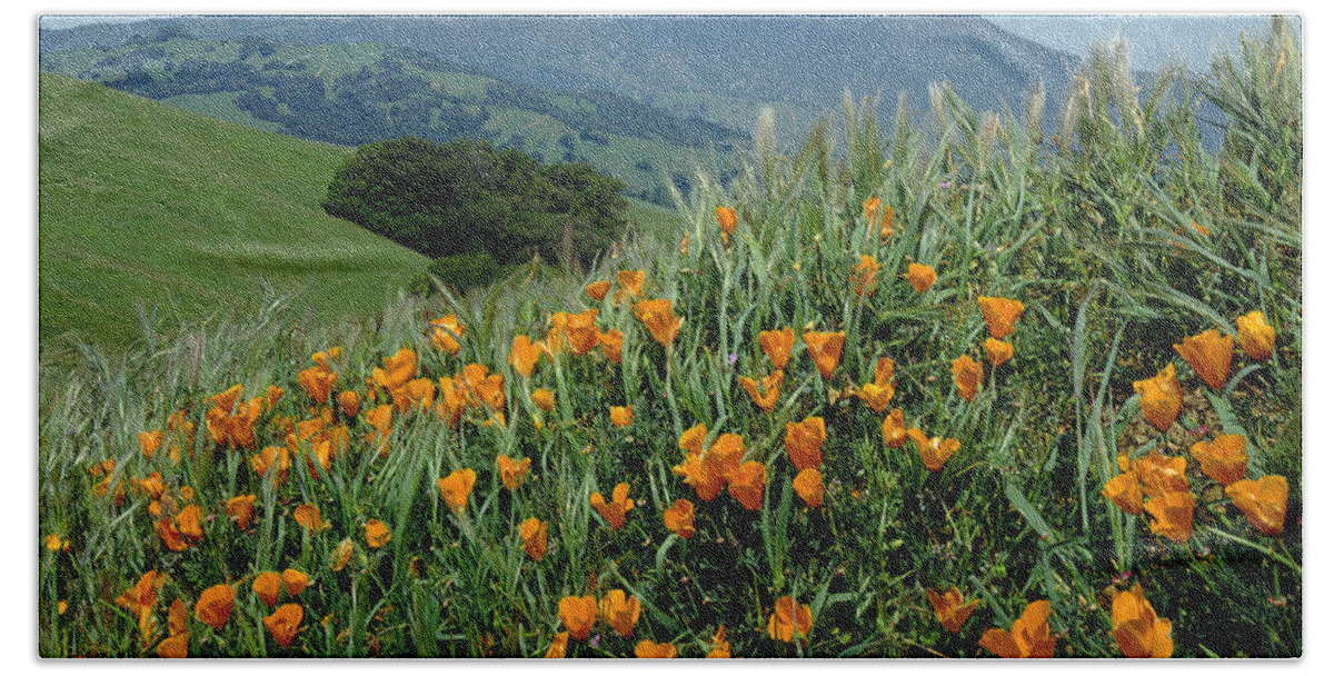 Mt. Diablo Beach Sheet featuring the photograph 1A6493 Mt. Diablo and Poppies by Ed Cooper Photography