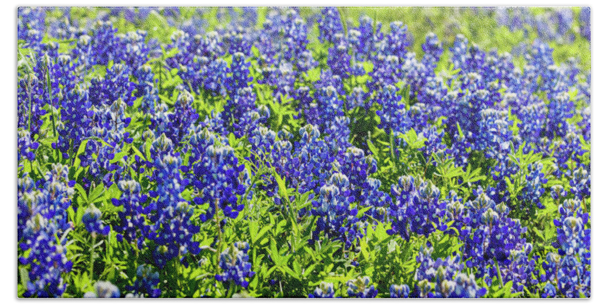 Austin Beach Towel featuring the photograph Bluebonnets #2 by Raul Rodriguez