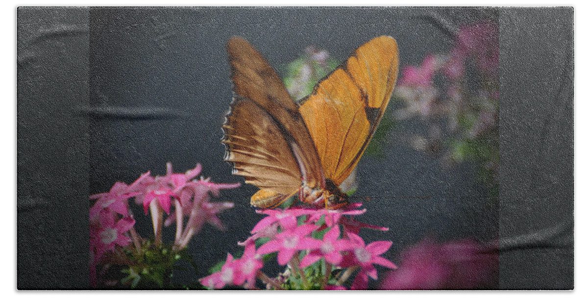 Butterfly Beach Sheet featuring the photograph Butterfly #3 by Savannah Gibbs
