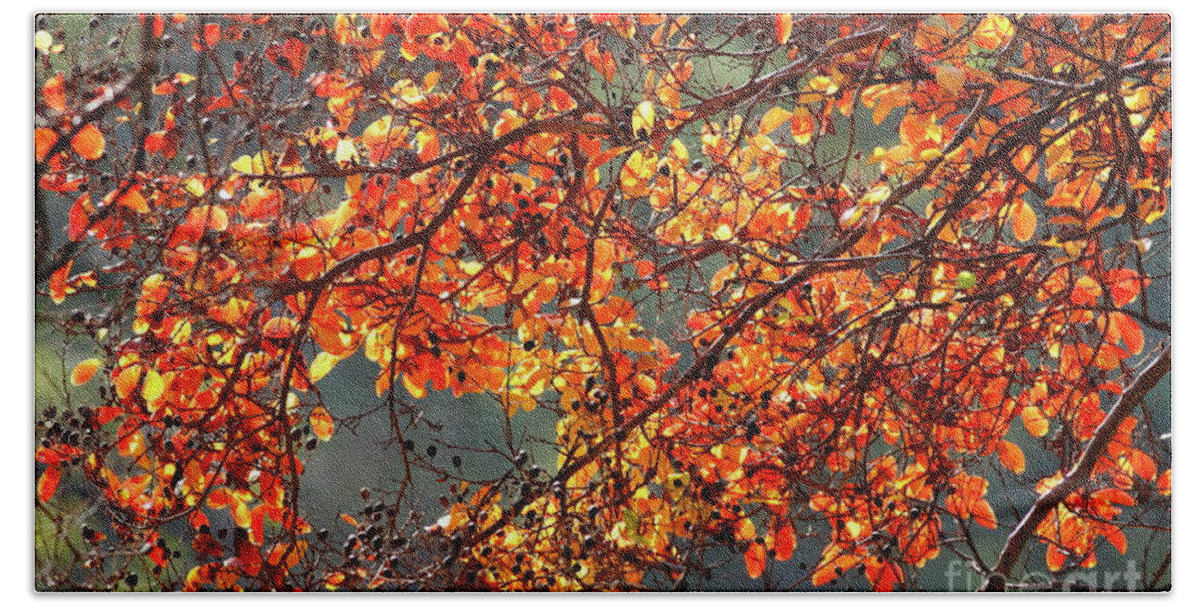 Autumn Beach Towel featuring the photograph Fall Leaves #2 by Nicholas Burningham