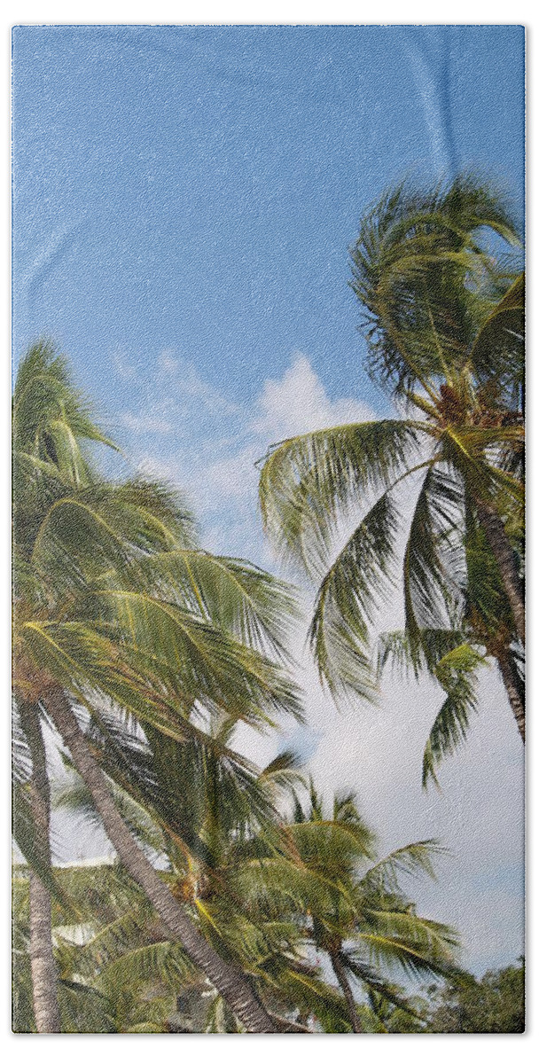  Tropical Beach Towel featuring the photograph Hawaiian Breeze #2 by Athala Bruckner