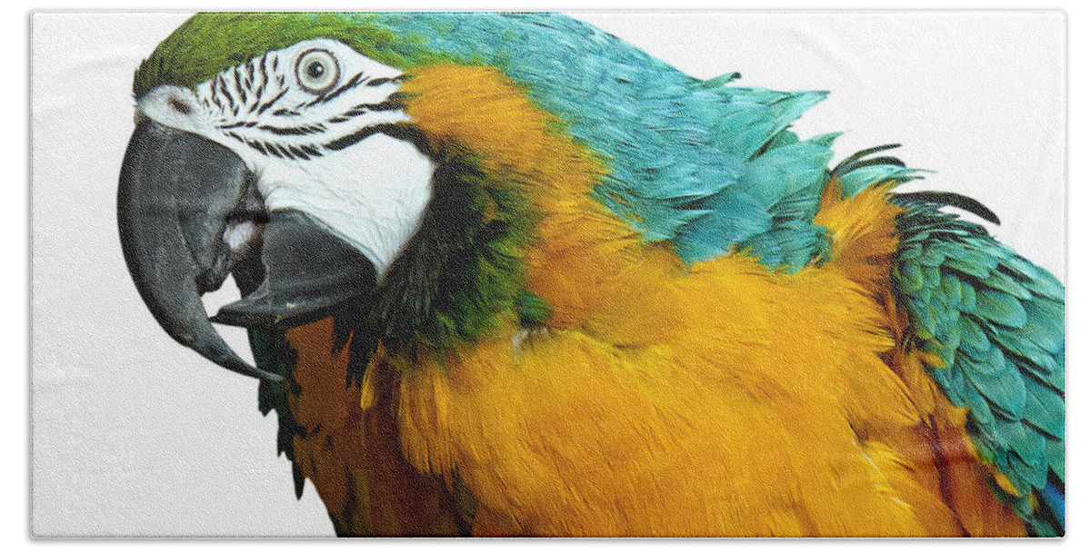 Vibrant Beach Sheet featuring the photograph Macaw Bird #2 by Gunnar Orn Arnason