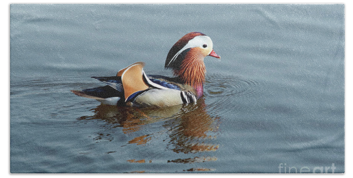 Duck Beach Towel featuring the photograph Mandarin duck #2 by Michal Boubin