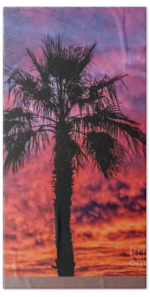 Sunrise Beach Towel featuring the photograph Palm Tree Silhouette #3 by Robert Bales