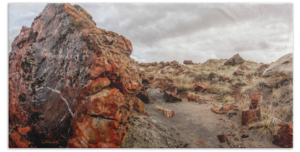 Ancient Beach Towel featuring the photograph Petrified log in the Petrified Forest #2 by SAURAVphoto Online Store